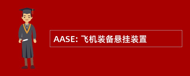 AASE: 飞机装备悬挂装置