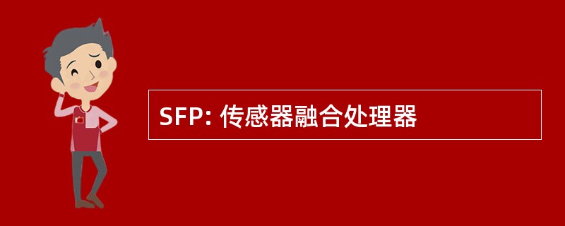 SFP: 传感器融合处理器