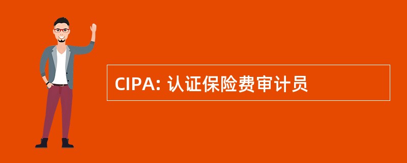 CIPA: 认证保险费审计员