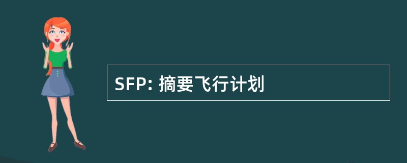 SFP: 摘要飞行计划