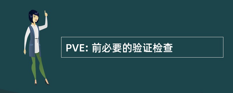 PVE: 前必要的验证检查