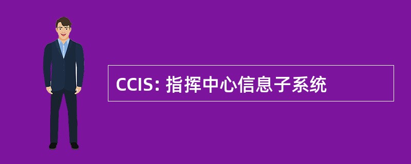 CCIS: 指挥中心信息子系统