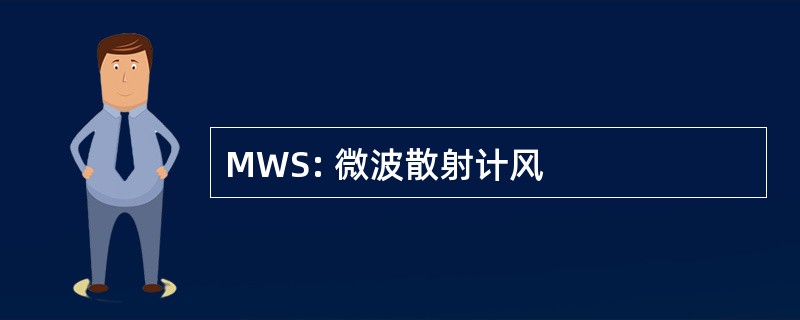 MWS: 微波散射计风