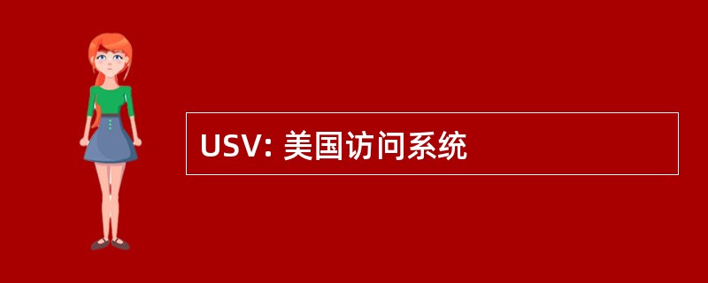 USV: 美国访问系统