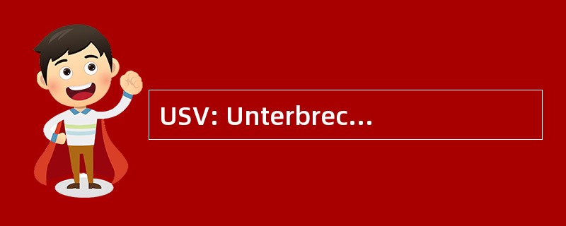 USV: Unterbrechungsfreie Stromversorgung