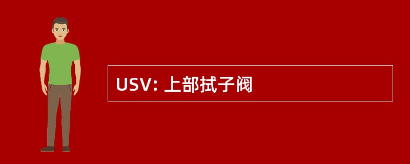 USV: 上部拭子阀