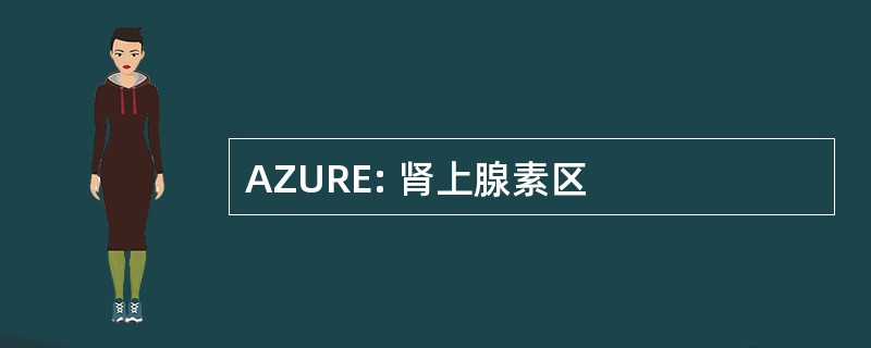 AZURE: 肾上腺素区