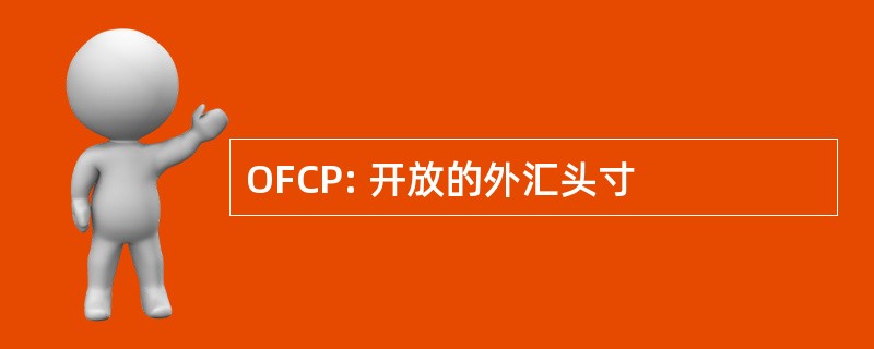 OFCP: 开放的外汇头寸