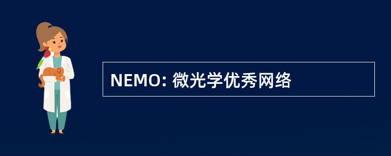 NEMO: 微光学优秀网络