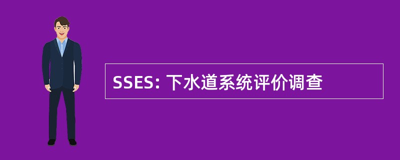 SSES: 下水道系统评价调查