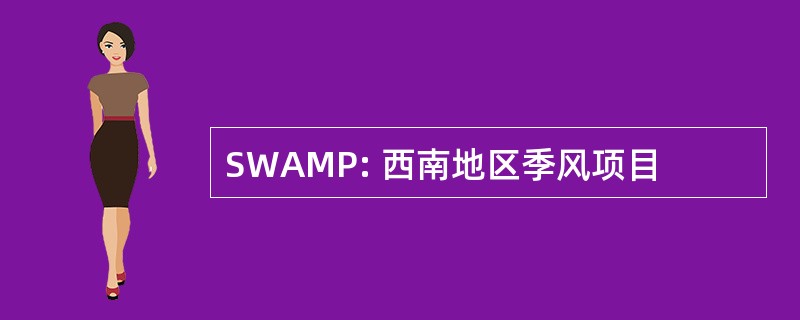 SWAMP: 西南地区季风项目