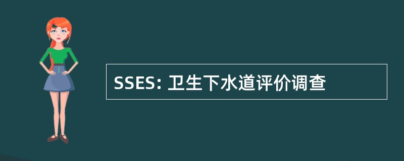 SSES: 卫生下水道评价调查