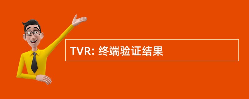 TVR: 终端验证结果