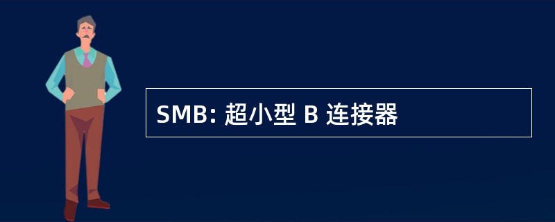 SMB: 超小型 B 连接器