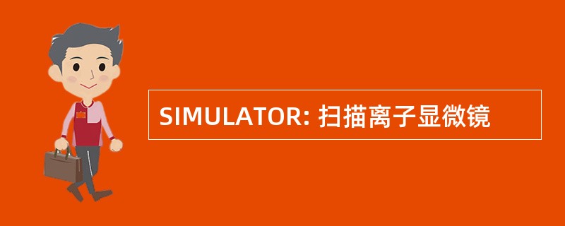 SIMULATOR: 扫描离子显微镜