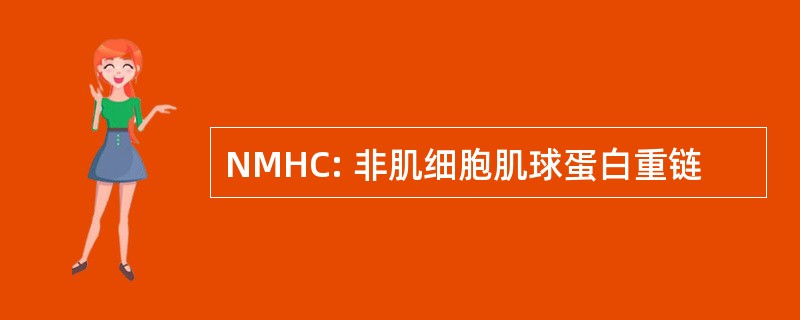 NMHC: 非肌细胞肌球蛋白重链