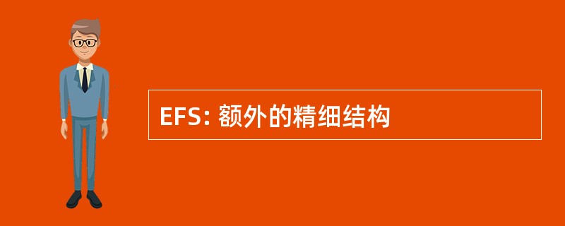 EFS: 额外的精细结构