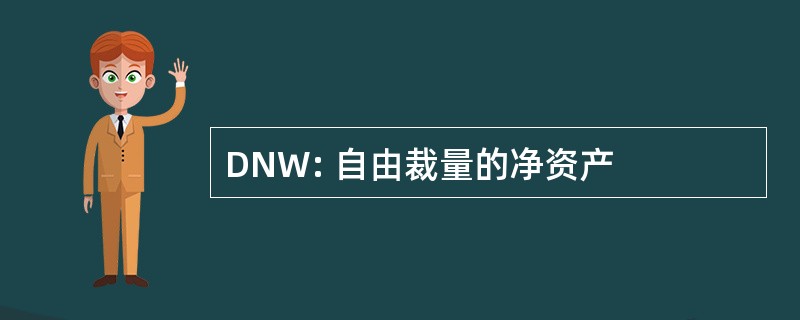 DNW: 自由裁量的净资产