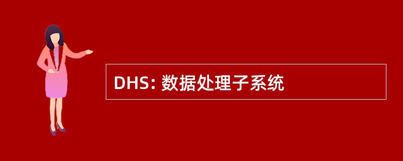 DHS: 数据处理子系统