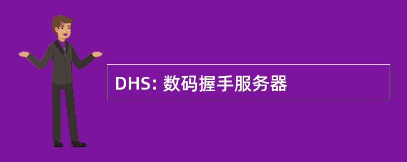 DHS: 数码握手服务器