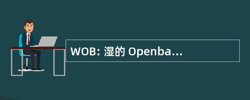 WOB: 湿的 Openbaarheid Van Bestuur