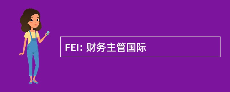 FEI: 财务主管国际