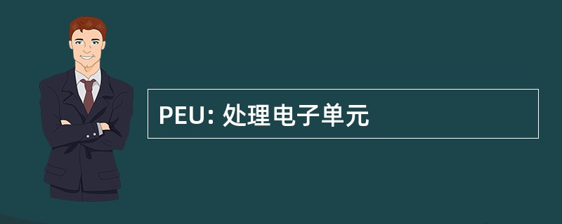 PEU: 处理电子单元