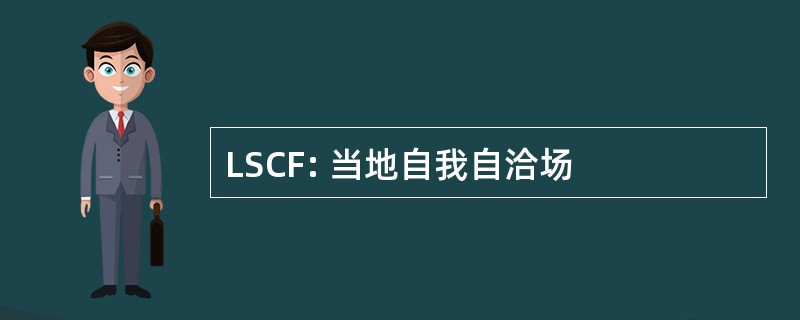 LSCF: 当地自我自洽场