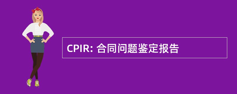 CPIR: 合同问题鉴定报告