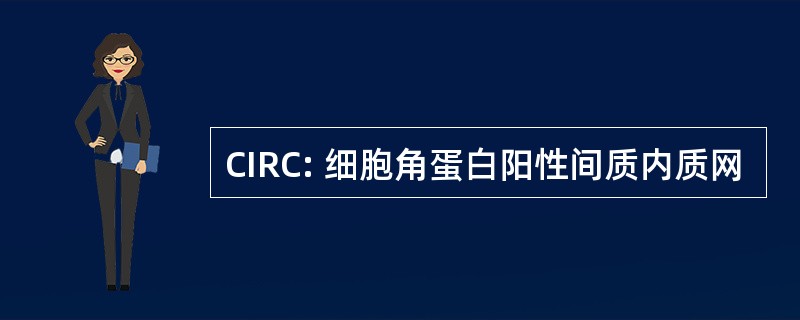 CIRC: 细胞角蛋白阳性间质内质网