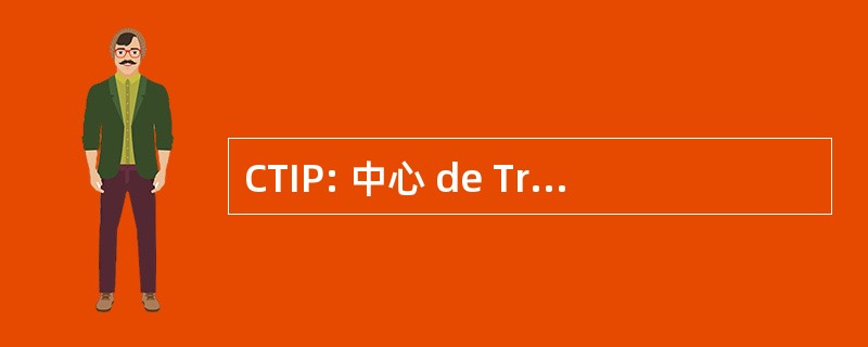 CTIP: 中心 de Traitement de 信息杜赊款担保权益