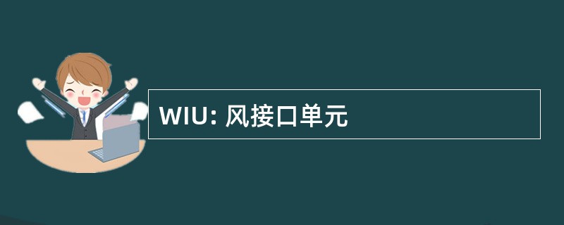 WIU: 风接口单元