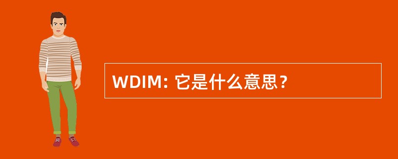 WDIM: 它是什么意思？