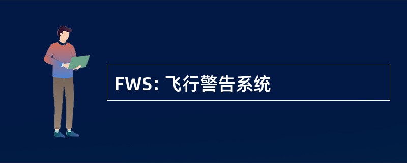 FWS: 飞行警告系统