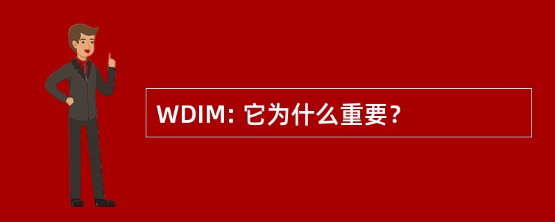 WDIM: 它为什么重要？