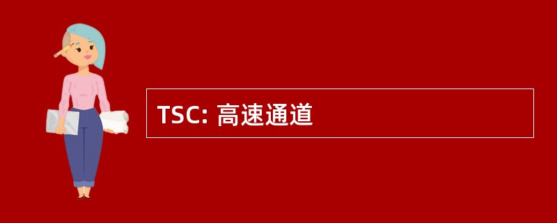 TSC: 高速通道