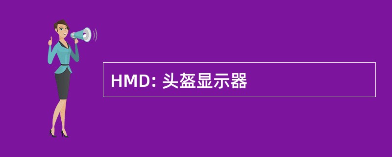 HMD: 头盔显示器