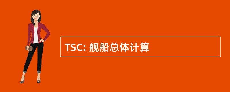 TSC: 舰船总体计算