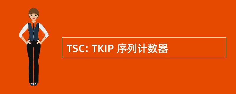 TSC: TKIP 序列计数器