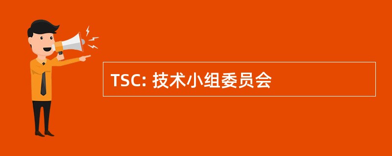 TSC: 技术小组委员会