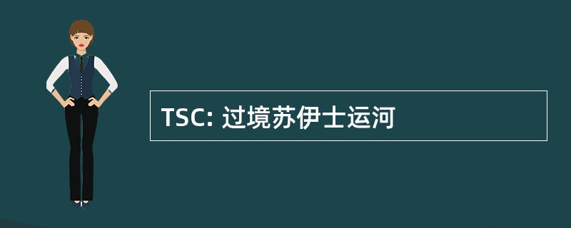 TSC: 过境苏伊士运河