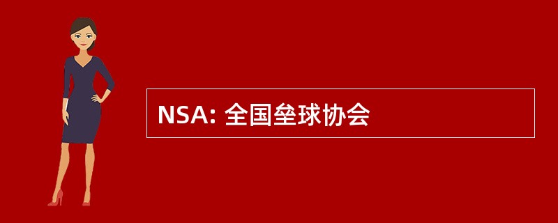 NSA: 全国垒球协会