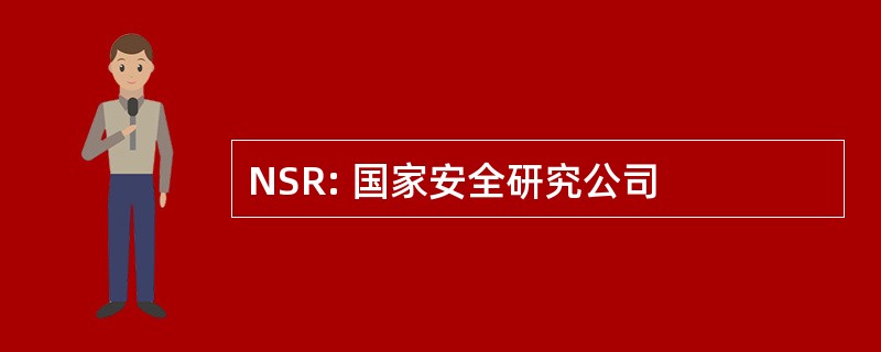 NSR: 国家安全研究公司