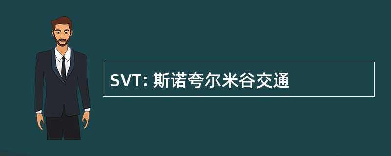 SVT: 斯诺夸尔米谷交通