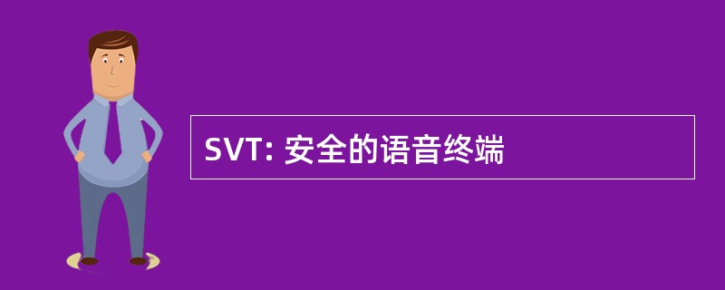 SVT: 安全的语音终端