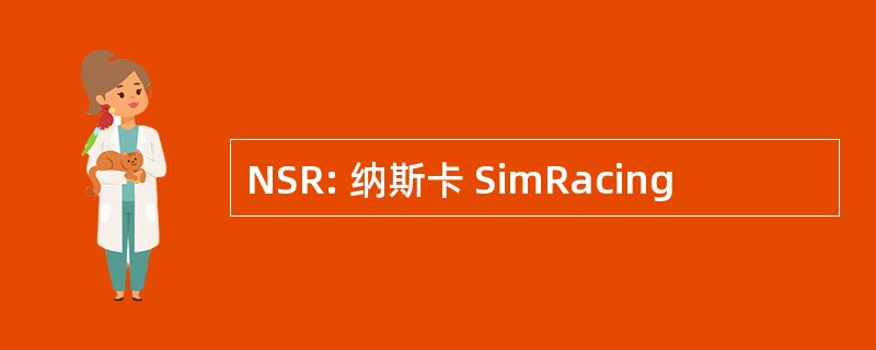 NSR: 纳斯卡 SimRacing