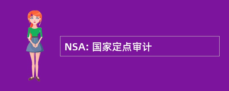 NSA: 国家定点审计