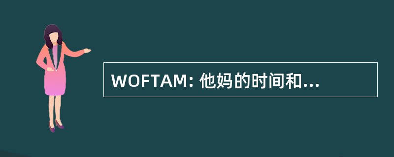 WOFTAM: 他妈的时间和金钱的浪费