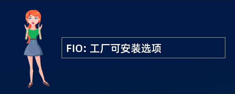 FIO: 工厂可安装选项