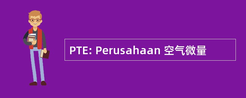 PTE: Perusahaan 空气微量